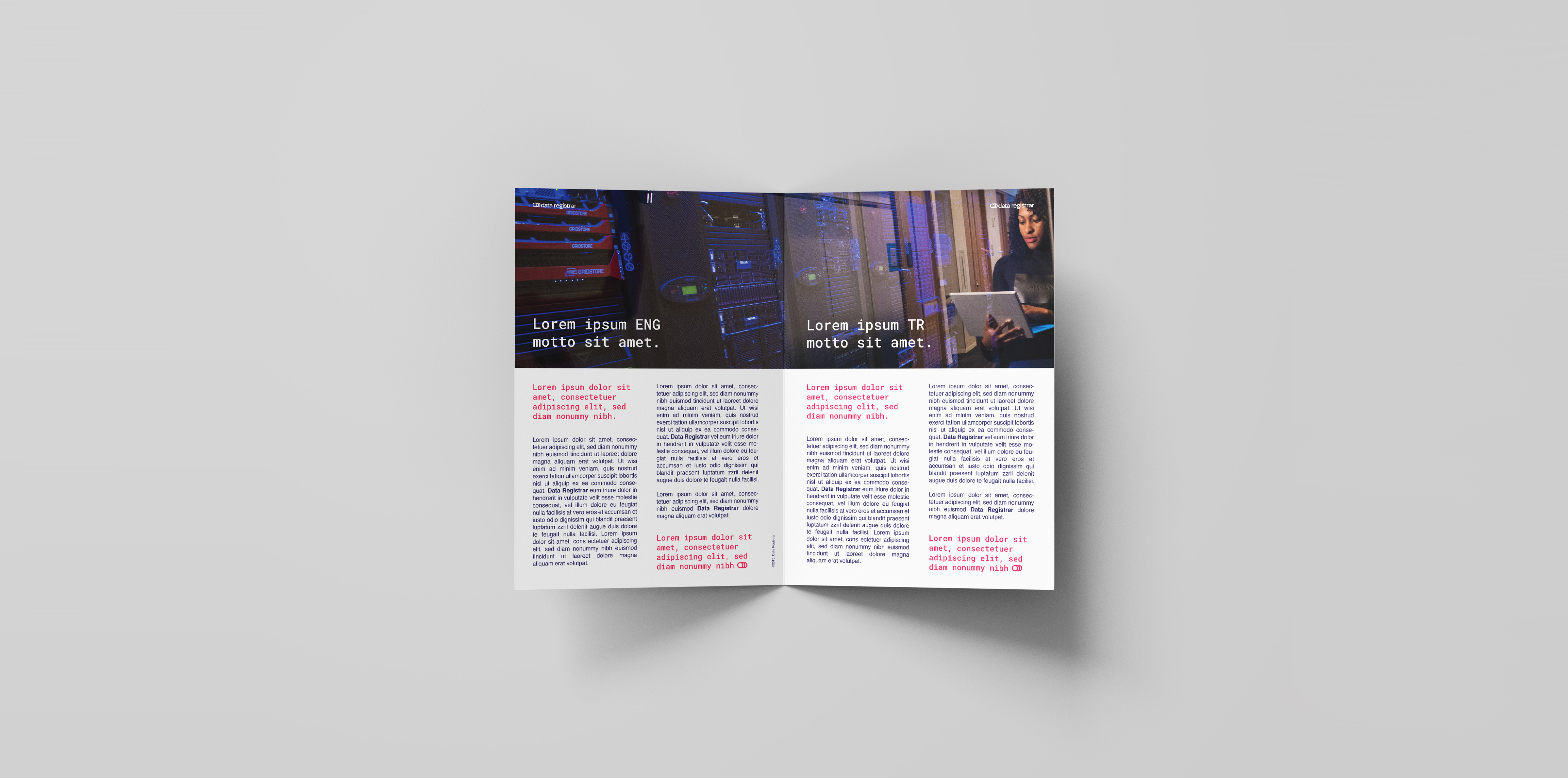 Data-Registrar Logo, Brand ID, Corporate Identity, Brochure 2