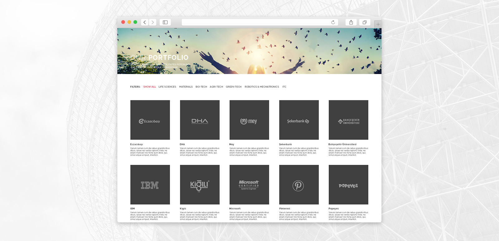 DCP Diffusion Capital Partners Website 4