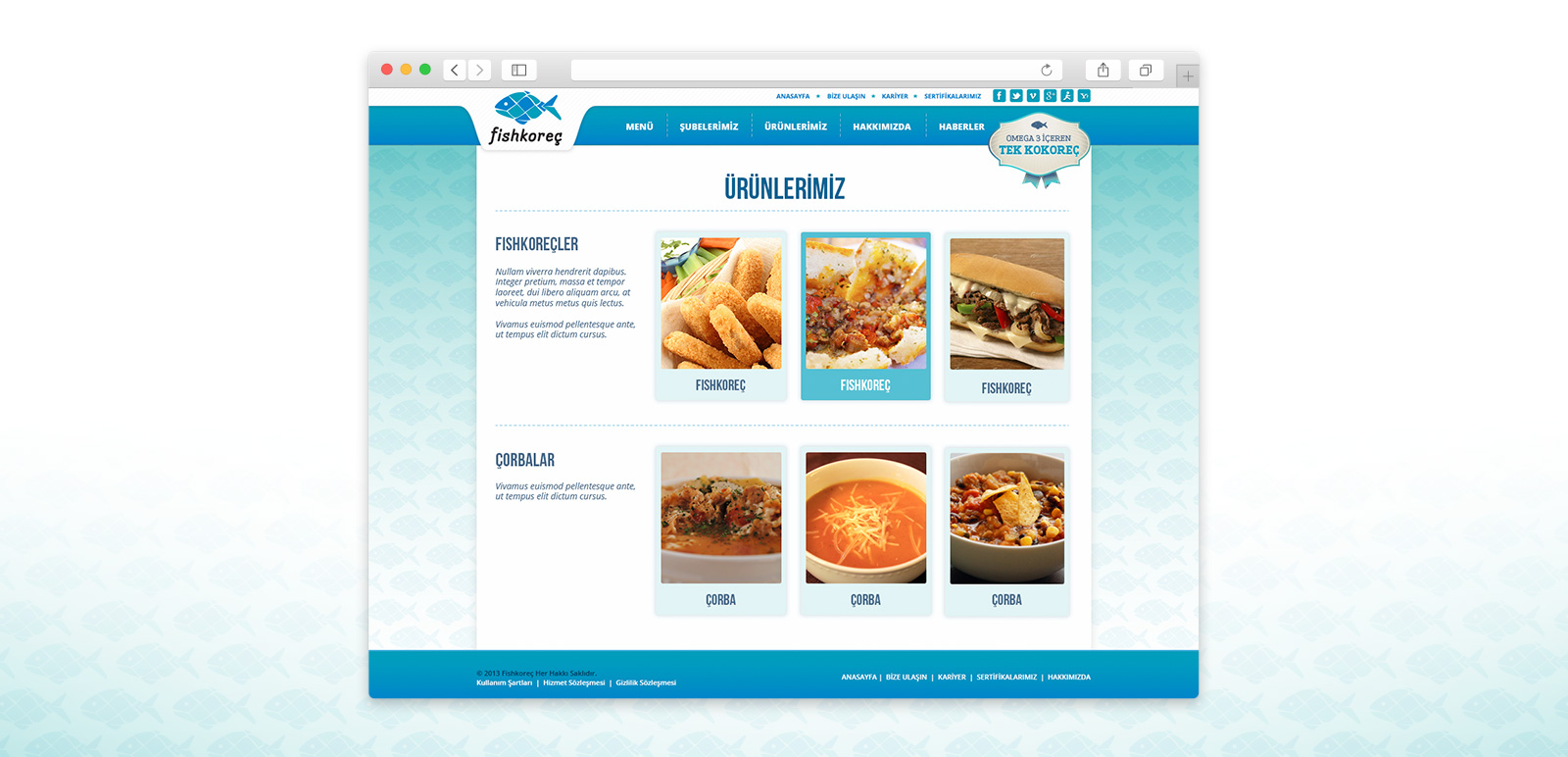 Fishkoreç Website 2