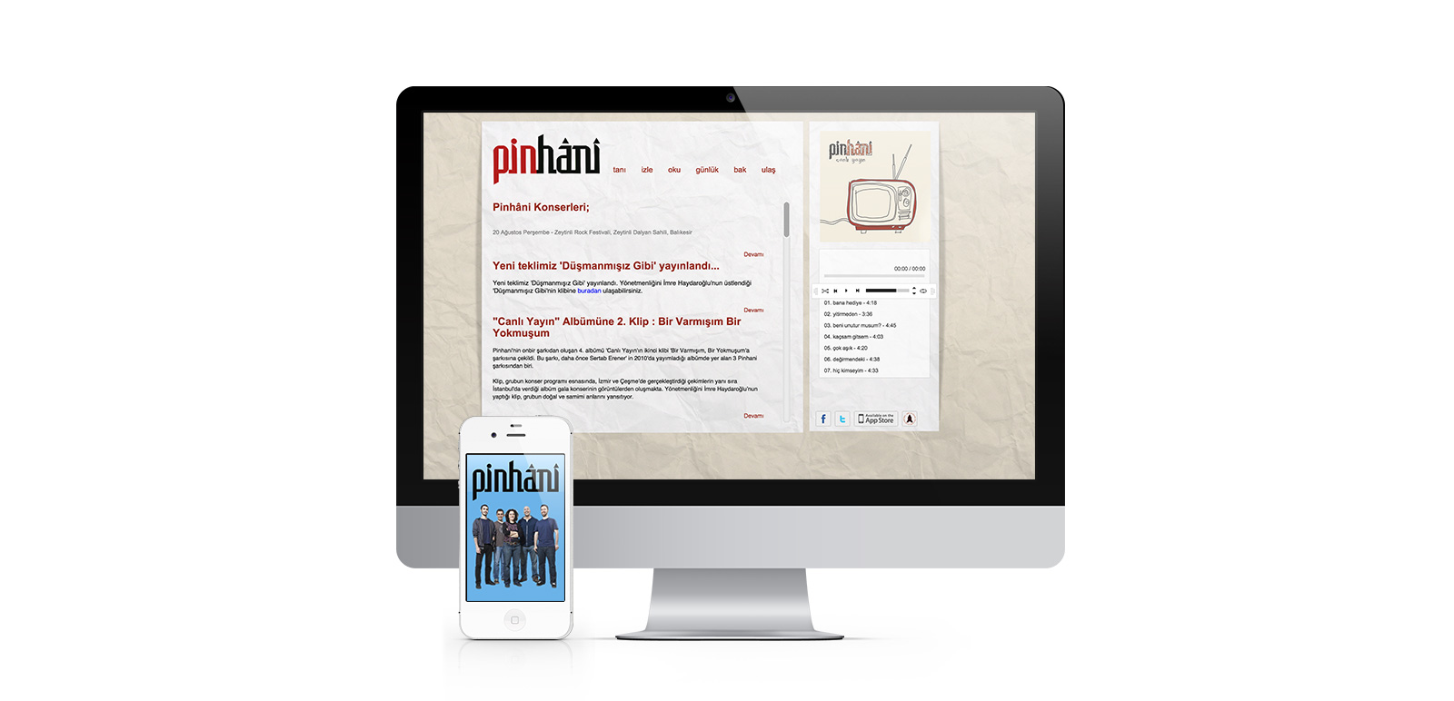 Pinhani Website 2